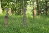 Stary cmentarzyk (fot. B. Ćwikowska).